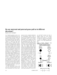 Do our maternal and paternal genes pull us in different directions?