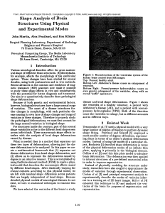 Shape  Analysis of  Brain Structures Using  Physical