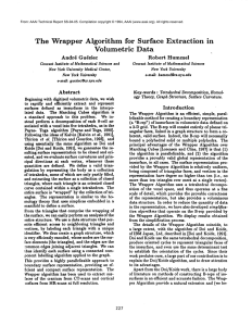 The  Wrapper  Algorithm for  Surface Extraction in