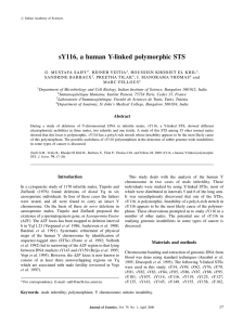 sY116, a human Y-linked polymorphic STS