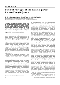 Survival strategies of the malarial parasite Plasmodium falciparum and Avadhesha Surolia*