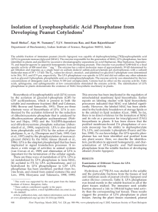 Isolation of Lysophosphatidic Acid Phosphatase from Developing Peanut Cotyledons 1 Sunil Shekar