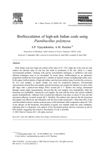 Bioflocculation of high-ash Indian coals using Paenibacillus polymyxa