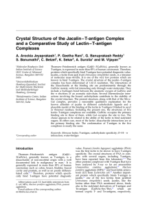 Crystal Structure of the Jacalin – T-antigen Complex Complexes