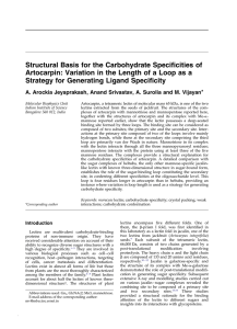 Structural Basis for the Carbohydrate Specificities of