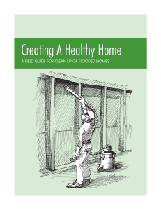 Creating A Healthy Home