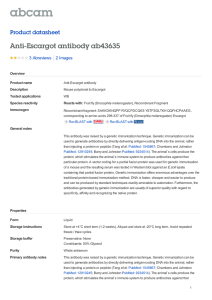 Anti-Escargot antibody ab43635 Product datasheet 3 Abreviews 2 Images