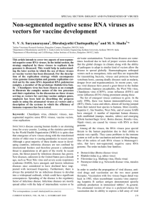 Non-segmented negative sense RNA viruses as vectors for vaccine development