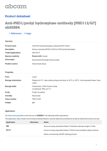 Anti-PHD1/prolyl hydroxylase antibody [PHD112/G7] ab82884
