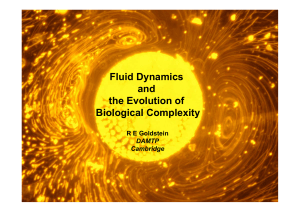 Fluid Dynamics and the Evolution of Biological Complexity