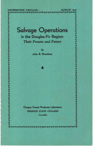 I p Salvage Operations 4