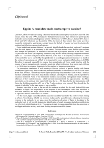 Clipboard Eppin: A candidate male contraceptive vaccine?