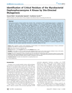 Identification of Critical Residues of the Mycobacterial Mutagenesis