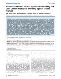 Salmonella enterica hfq Serovar Typhimurium Lacking Gene Confers Protective Immunity against Murine
