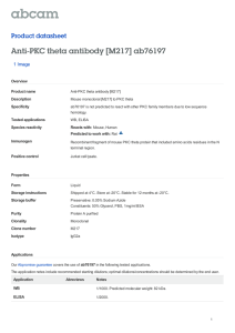 Anti-PKC theta antibody [M217] ab76197 Product datasheet 1 Image Overview