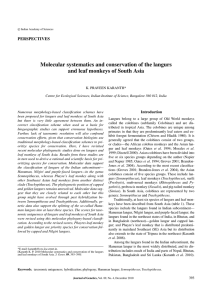 Molecular systematics and conservation of the langurs PERSPECTIVES Introduction