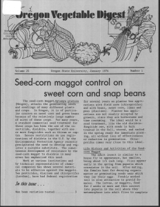 Vegetable I iioui maggot control