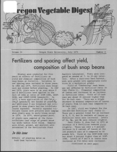 Ycaictabic Iliqest I.eiIOfl 7 Fertilizers and spacing affect yield,