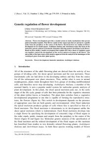 Genetic regulation of flower development J. Biosci., USHA VIJAYRAGHAVAN*