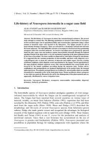 Neurospora intermedia J. Biosci.,  ALKA PANDIT and RAMESH MAHESHWARI*