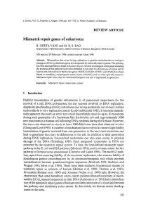 Mismatch repair genes of eukaryotes REVIEW ARTICLE