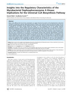 Insights into the Regulatory Characteristics of the Mycobacterial Dephosphocoenzyme A Kinase: