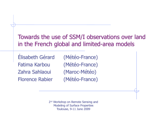 Towards the use of SSM/I observations over land