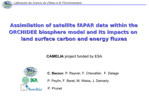 Assimilation of satellite fAPAR data within the