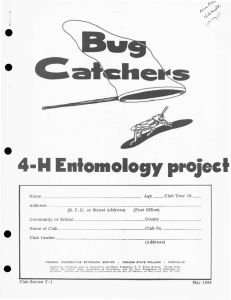 4-H Entomology project t