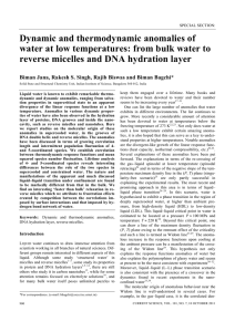 Dynamic and thermodynamic anomalies of reverse micelles and DNA hydration layer