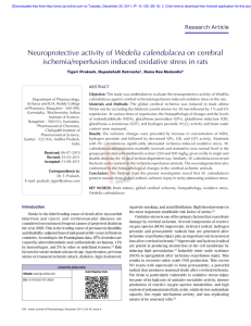Neuroprotective activity of Wedelia calendulacea on cerebral