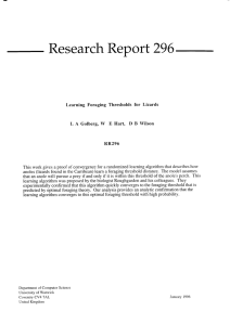R.port Research 296 W