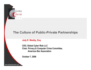 The Culture of Public-Private Partnerships