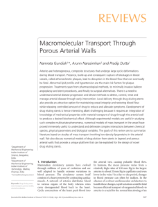 Reviews Macromolecular Transport Through Porous Arterial Walls Namrata Gundiah