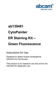 ab139481 CytoPainter ER Staining Kit – Green Fluorescence