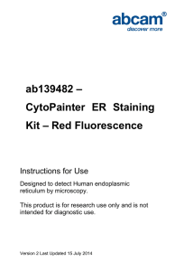 ab139482 – CytoPainter  ER  Staining Kit – Red Fluorescence