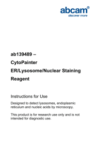 ab139489 – CytoPainter ER/Lysosome/Nuclear Staining Reagent