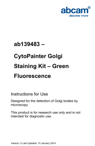 ab139483 –  CytoPainter Golgi Staining Kit – Green