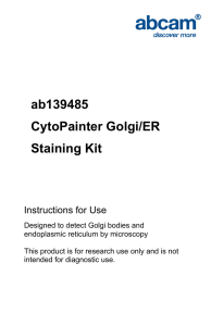 ab139485 CytoPainter Golgi/ER Staining Kit Instructions for Use