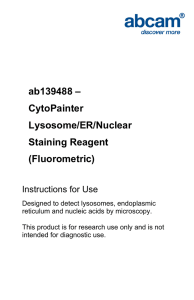 ab139488 – CytoPainter Lysosome/ER/Nuclear Staining Reagent