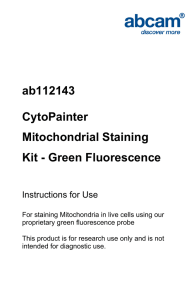 ab112143 CytoPainter Mitochondrial Staining Kit - Green Fluorescence