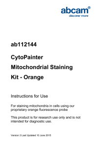 ab112144 CytoPainter Mitochondrial Staining Kit - Orange
