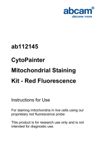 ab112145 CytoPainter Mitochondrial Staining Kit - Red Fluorescence