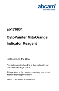 ab176831 CytoPainter MitoOrange Indicator Reagent Instructions for Use