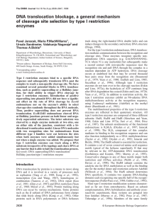 DNA translocation blockage, a general mechanism enzymes