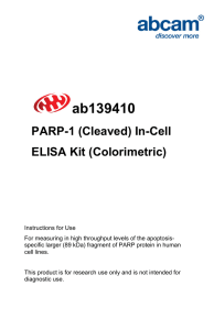 ab139410 PARP-1 (Cleaved) In-Cell ELISA Kit (Colorimetric)