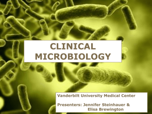 CLINICAL MICROBIOLOGY Vanderbilt University Medical Center