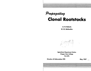 Clonal Rootstocks