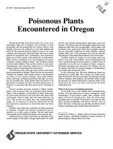 Poisonous Plants Encountered in Oregon /*- &amp;