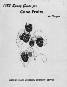 Cane Fruits w f9%2 Sptcuf (fade (o* ut OneyM